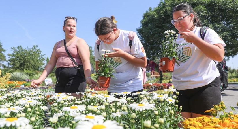 Szakmakóstoló diákoknak: kerétzstbe látogattak, patakot vizsgáltak, rovarodút készítettek