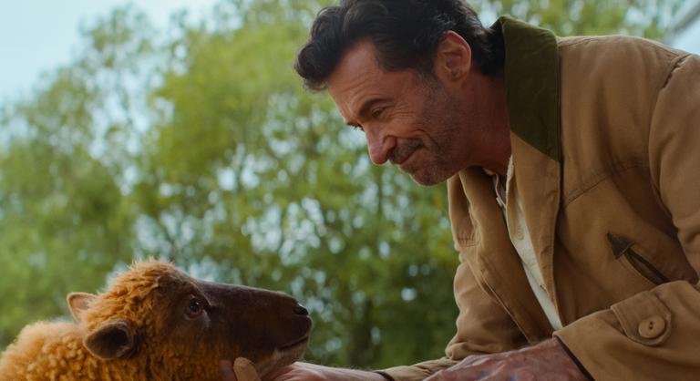 Agatha Christie is megirigyelné ezt az új krimit, amelyet Hugh Jackman mellett beszélő birkák tesznek felejthetetlenné
