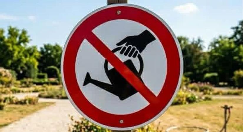 A polgármesternek nem volt választása: locsolási tilalmat rendeltek el Abonyban