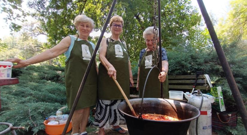 Sütöttek-főztek a kertbarátok, tíz bográcsban rotyogtak a finomságok