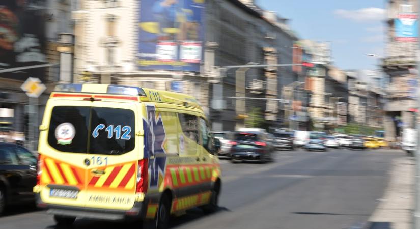 A WHO szerint eddig több mint 1300 halálos áldozatot követelt a hőhullám Európában