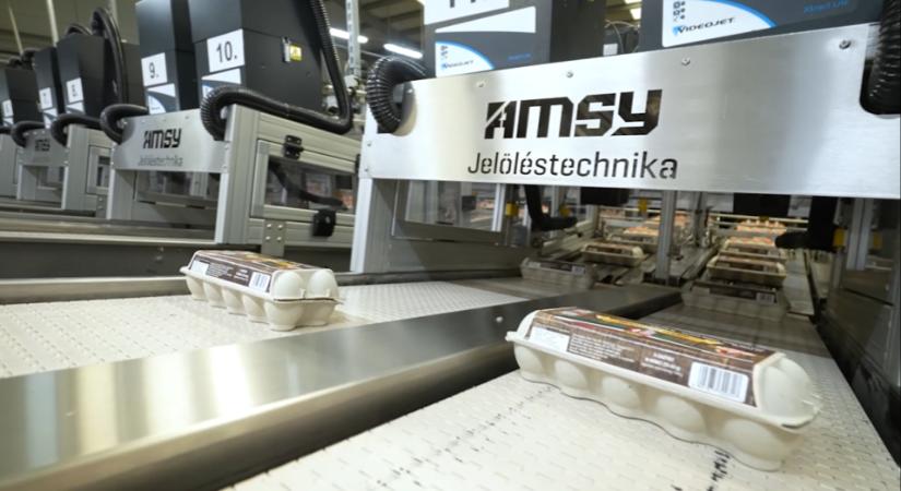 Farm Tojás: napi akár 1 millió tojás jelölését támogatják az AMSY rendszerei – lézeres jelölés az élelmiszeriparban