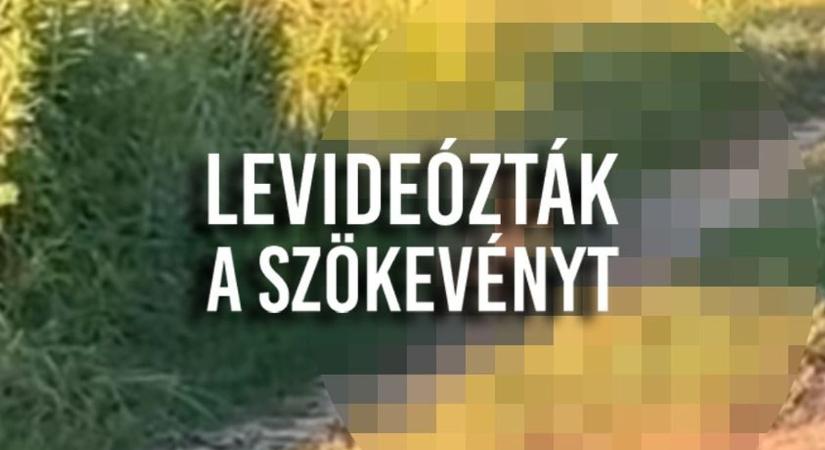Újra látták a szökevényt Nyíregyházához közel – videófelvétel buktatta le