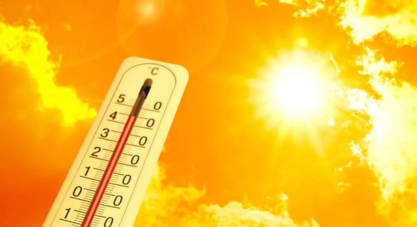 Ehhez a szerkezethez nem kell se gáz, se áram: a Nap erejével is elkészülhet vele az ebéd