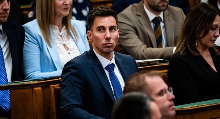 A választás után néhány nappal Rogán Antal embere felkereste Radnai Márk édesapját