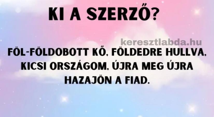 Irodalom feladat: Föl-földobott kő, kötelező volt, de tudod, kinek a tolla?