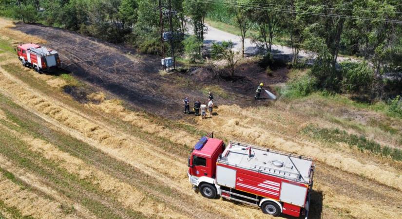 Lángolt egy búzaföld Szabadka határában