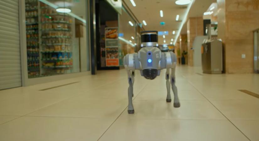 Végük van a betörőknek, jönnek a robotkutyák