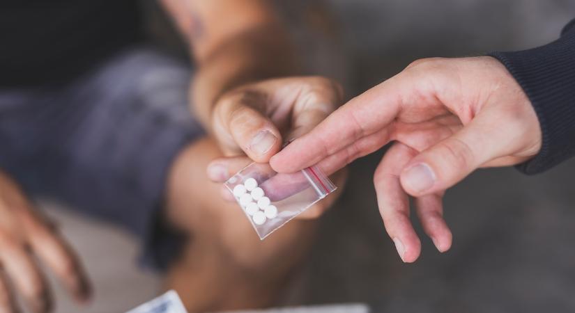 Magyar drogfutárokkal dolgozó nemzetközi bűnbandára csaptak le a rendőrök
