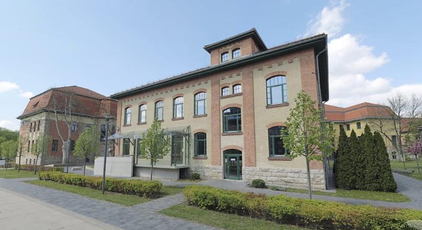 Bekerült a világ legjobbjai közé egy budapesti iskola a környezeti cselekvés kategóriájában