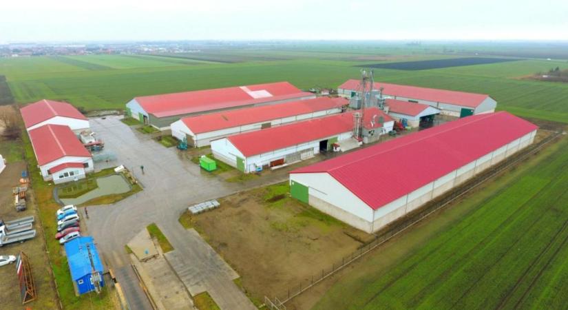 Hatékony mezőgazdasági beruházások Zensteel acélprofilokkal