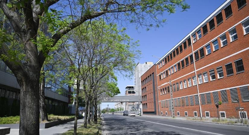 Csoportos leépítést jelentett be a Richter Gedeon, Cserháti Péter távozik az igazgatóságból