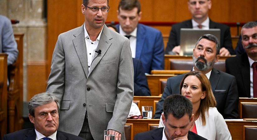 Gulyás Gergely felháborodott a bekötött szemű plüssmajmok emlegetésén