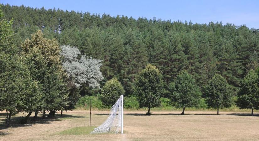 Medve riogat a borsodi faluban, a gyerektábort is el kellett költöztetni miatta – helyszíni fotókkal