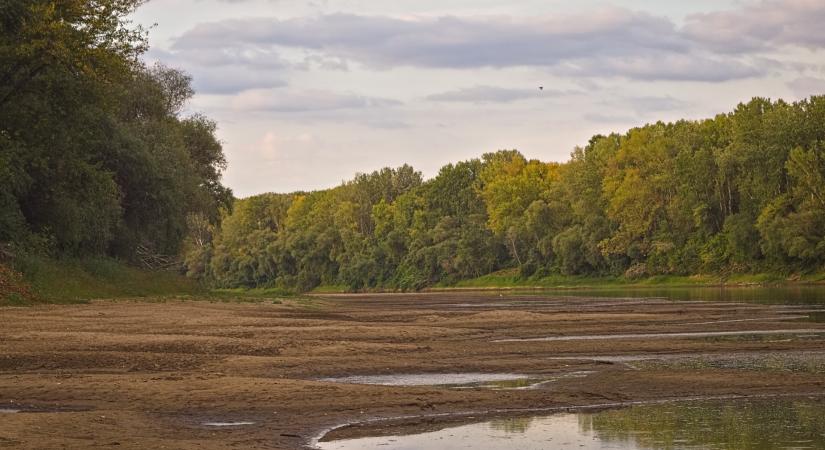 Rekordalacsonyra apadt a Tisza a hőségben