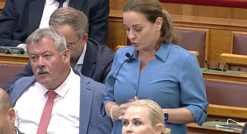 Máthé Zsuzsa: Ezen áll Európa és Magyarország jövője