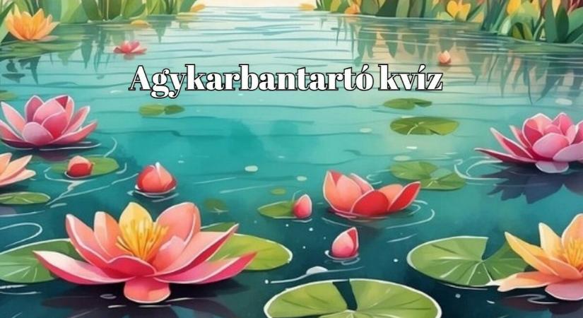 Agykarbantartó kvíz - Ha legalább 6 kérdésre helyesen válaszolsz, te is vered az átlagot
