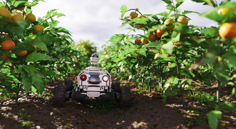 Ha így megy tovább, 15 év múlva robotok szüretelnek a magyar földeken