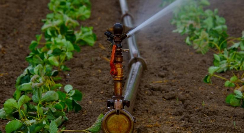Ezzel a módszerrel lehet a legnagyobb szárazságban hatékonyan locsolni