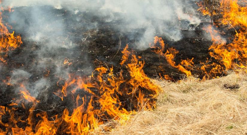 Tarló és lábon álló gabona égett Kisberzseny és Kamond között