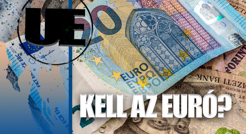 Magyar Péter eurót akar 2030-ra – de mit akar az utca embere?