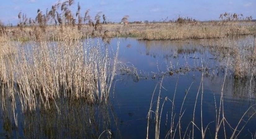 Újra víz kerülhet a hatvani tározóba? Duzzasztó üzembe helyezését tervezik a volt cukorgyár mellett