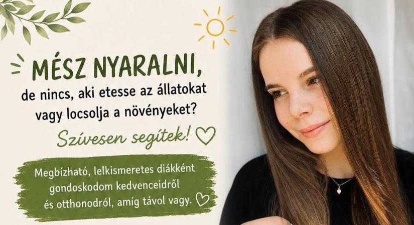 Végre egy hiánypótló szolgáltatás indult Kaposváron: egy egyetemista lány segít, hogy a gazdik nyugodtan élvezhessék a nyaralást