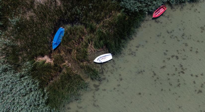 Felbukkanó homokszigetek és kiszáradt strandok: újra kritikus mélyponton a Balaton vízszintje - fotók