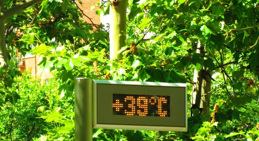 Riasztó adatokat közölt a WHO! Megérkezett a szám, ennyien haltak meg a hőség miatt