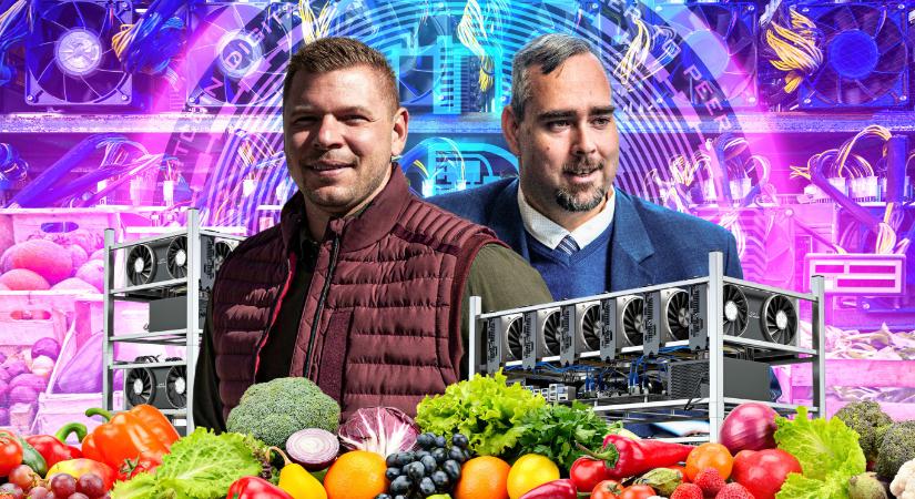 Az önkormányzattól lophatott áramot bitcoinbizniszéhez a békásmegyeri piac igazgatója