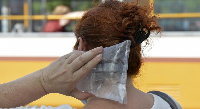 Ürge-Vorsatz Diána: borzalmas már a helyzet, az ágon megsült a gyümölcs, a vízben megfőttek az élőlények