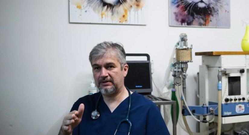 Hadházy teljes gázzal és fékezés nélkül nekirongyolt a közmédia exvezetőjének