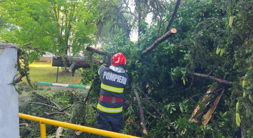 Hat megyében pusztított a vihar: fák dőltek az utakra, negyven autó megrongálódott