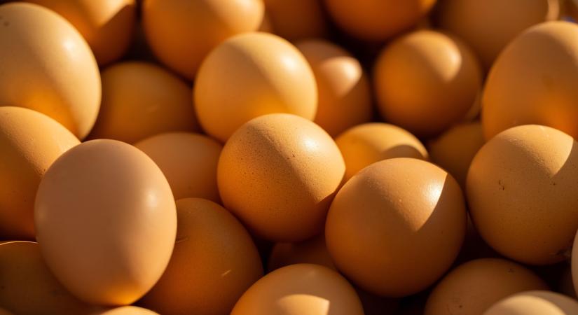 75000 illegális tojást foglaltak le Bécsben ami Ukrajnából érkezett