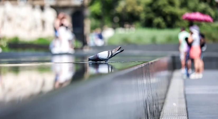 Tovább nőtt a vízfogyasztás, a hálózat összeomlástól tart a DMRV