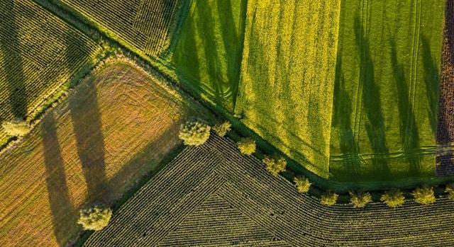 Brit–EU agrármegállapodás: már most készülni kell az új szabályokra
