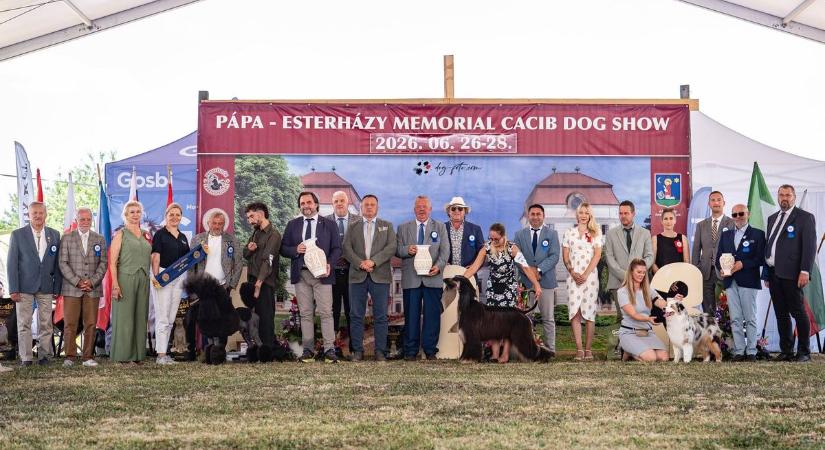Húsz ország legszebb kutyái érkeztek Pápára fotók