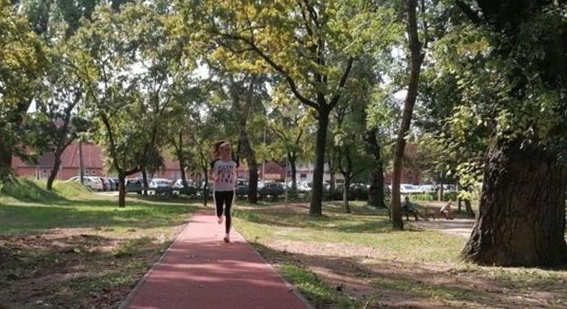 Figyelem! Elmarad a várva várt székesfehérvári program