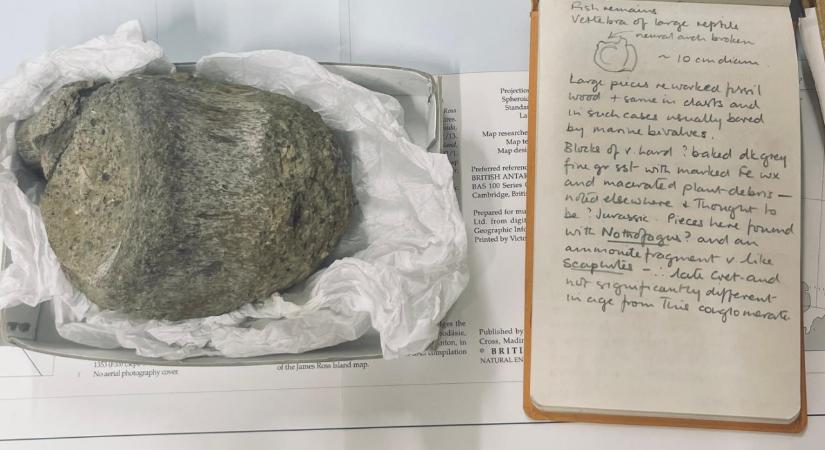Antarktiszi titanoszauruszt találtak egy angol fiókban