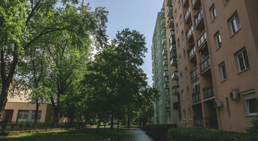 Hátulról közelítenek, nappal is támadnak! Az erdősebb részeknél csapnak le áldozataikra Debrecenben