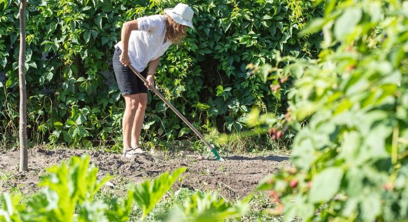 Köszönetnyilvánító tábla jár azoknak Szennában, akik gondozzák a házuk előtti közterületet