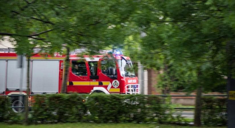 Két betonoszlop dőlt az útra a Diószegin