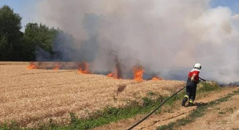 Oda a termés, több hektáron pusztított a tűz Zics határában
