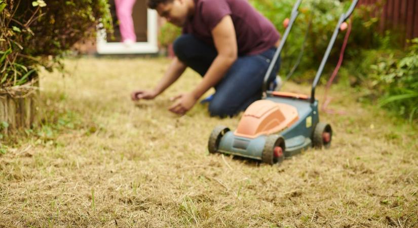 Szabad-e locsolni ilyen melegben, és milyen fáktól kell lassan elbúcsúznunk? – szakértőt kérdeztünk