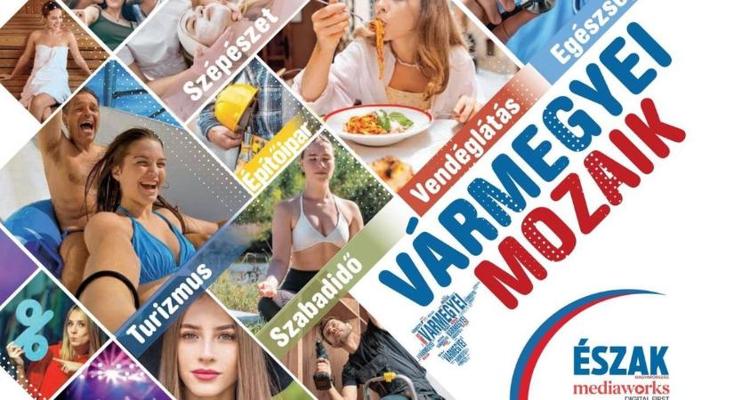 Vármegyei Mozaik