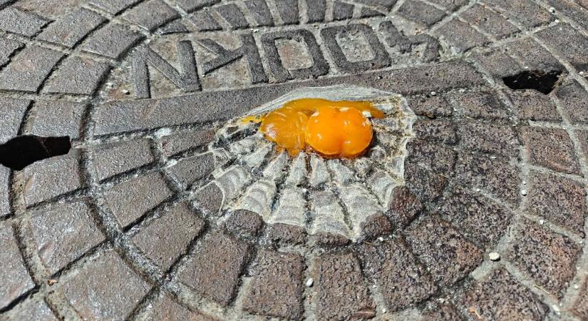 Tüzesen süt le a nyári nap sugára az ég tetejéről a tojásra – mítosz, vagy igaz a forró autón sütés? Videó