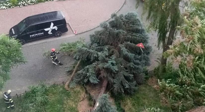 Vihar pusztított több székelyföldi településen