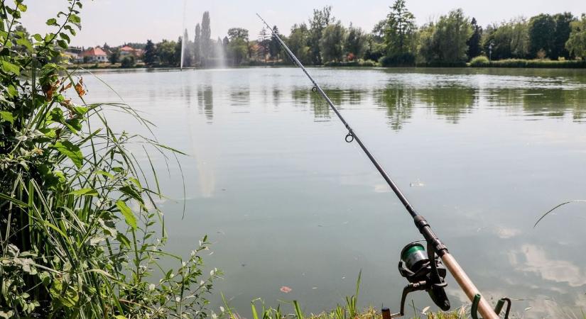 Óvjuk a halakat és magunkat is a hőségben!