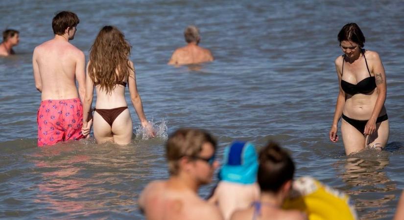 Egyre melegebb a Balaton – friss adatok érkeztek, az algahelyzetről is írtak