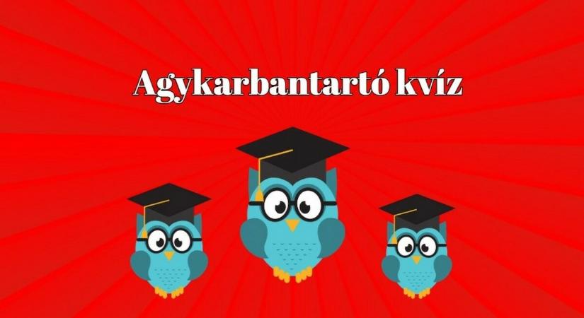 Új agykarbantartó kvíz - Itt az újabb kihívás, amelyben megmutathatod, hogy átlag feletti a tudásod